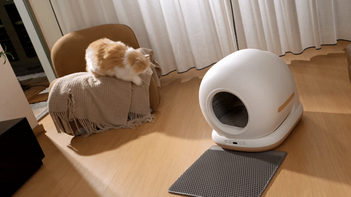 Modern smart pet devices with advanced odor control
