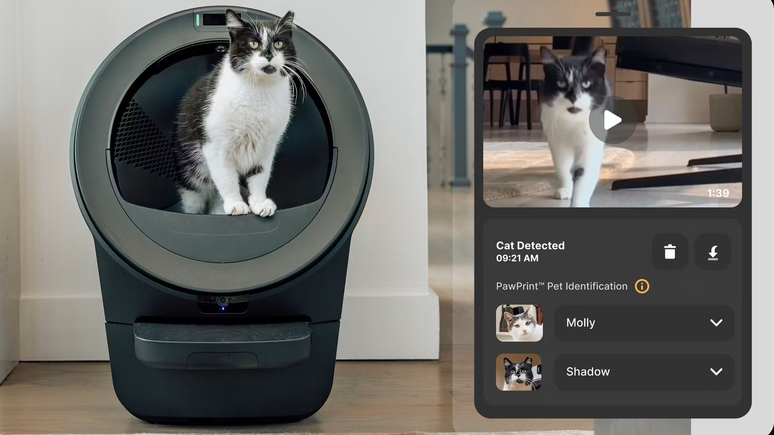 Pet store owner demonstrating smart litter box for wholesale customers