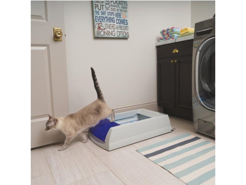 Automatic litter box