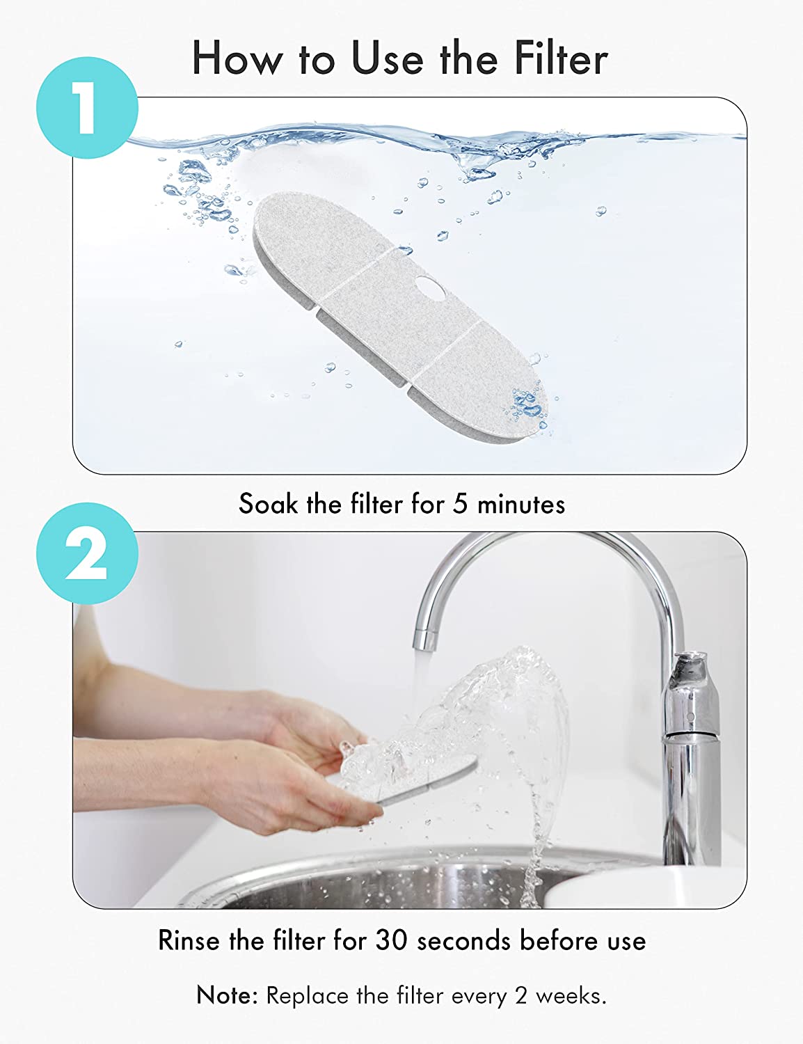 Filter soaking in a bowl of clean water