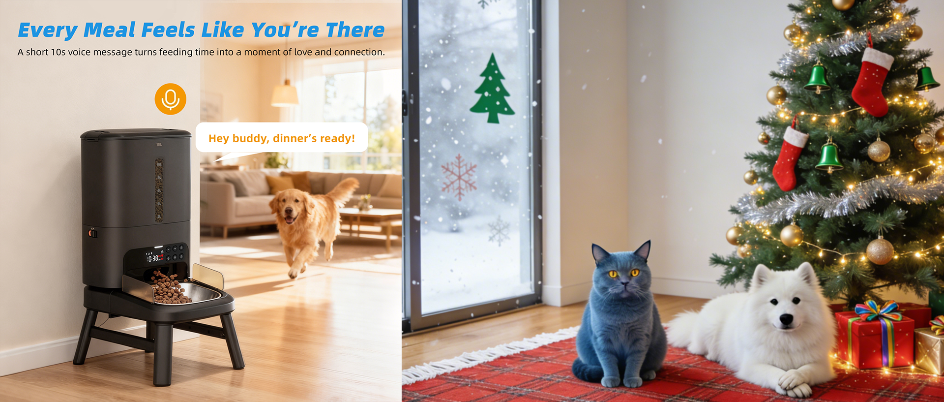 2025 smart cat feeder for holiday travel - automatic portion control