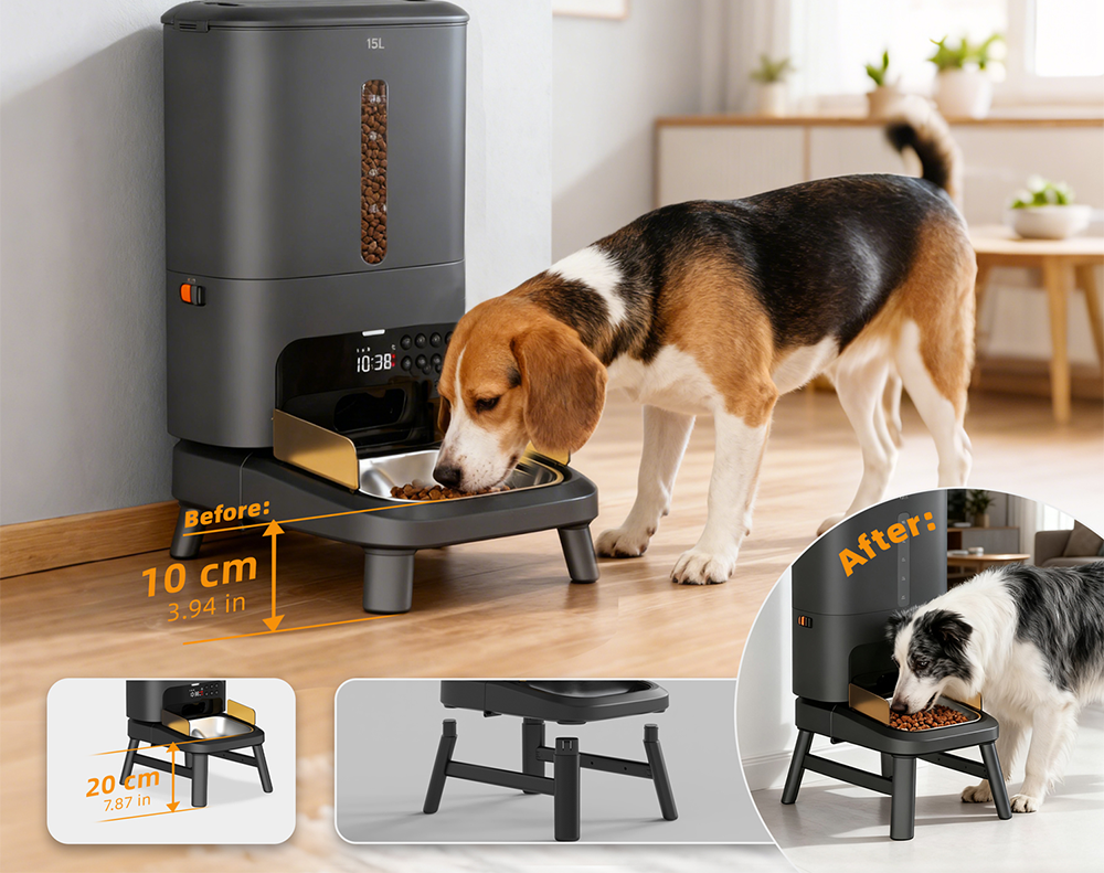 Ergonomic Raised Bowl Design