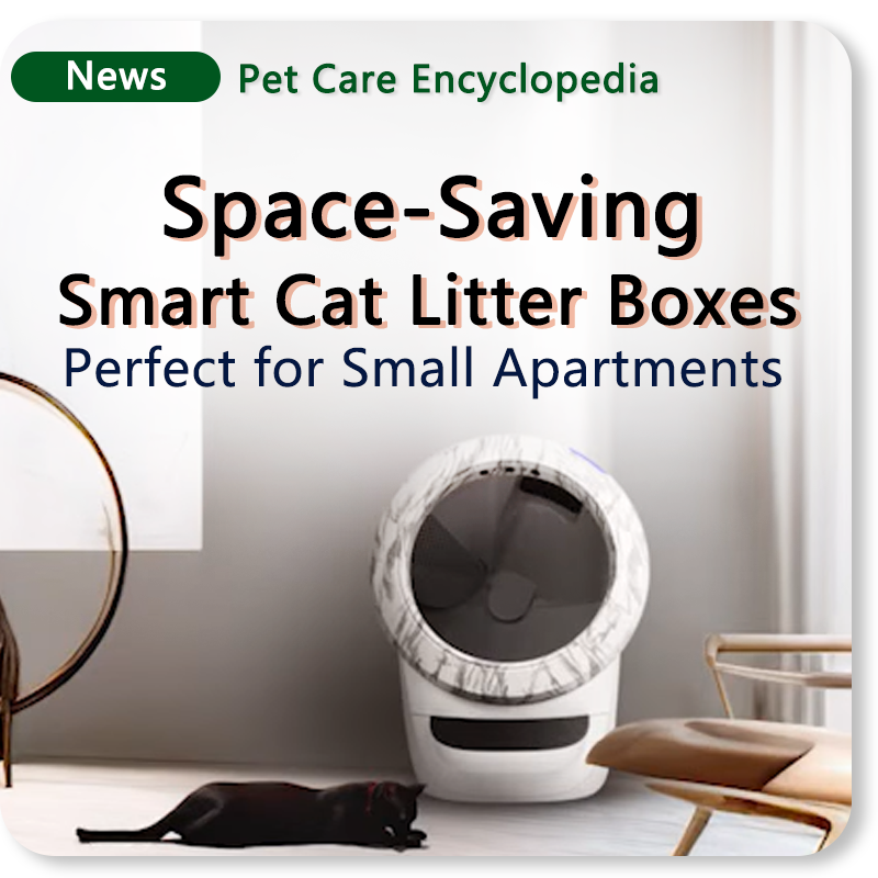 Sustainable pet tech