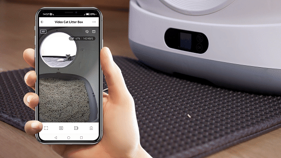 Smart Litter Box with HD camera feature