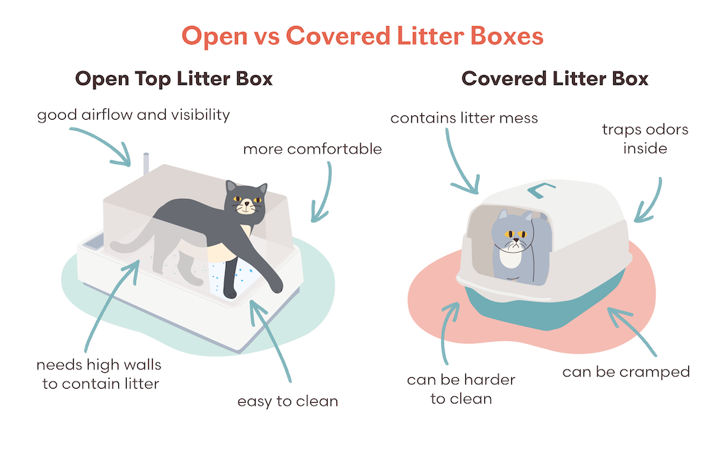 Open vs covered litter boxes for odor control and cat preference